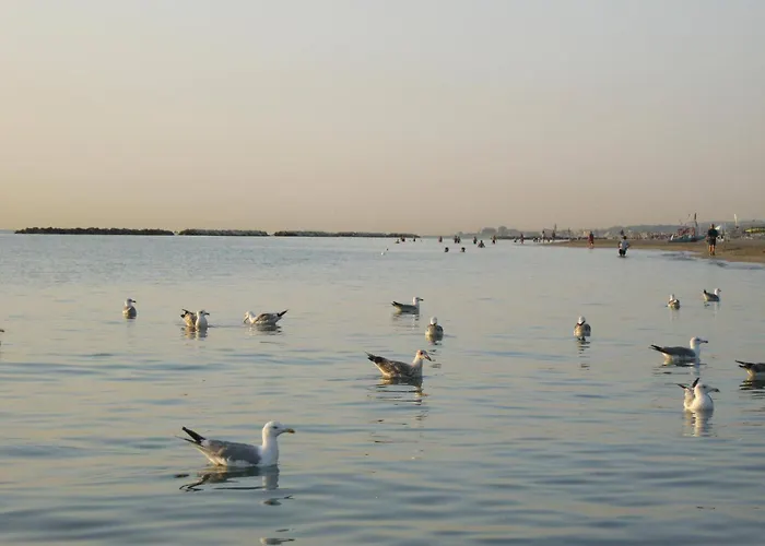 Stella Di Mare Porto Potenza Picena