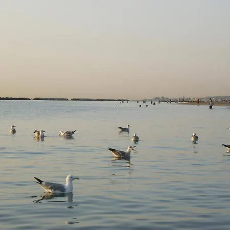 Stella Di Mare Porto Potenza Picena